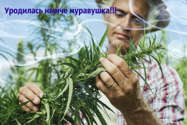 Кракен маркетплейс работает
