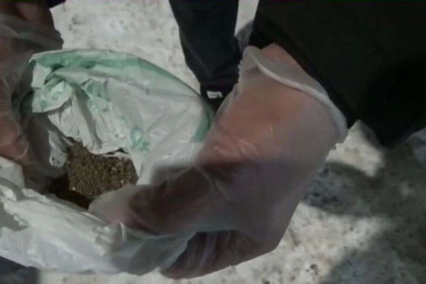 Кракен даркнет купить