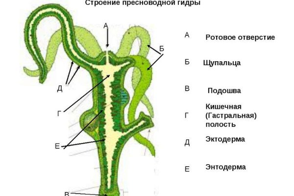 Kra35.cc