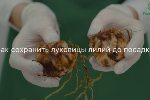 Не работает сайт kraken