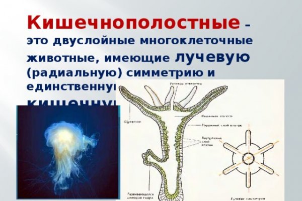 Не могу зайти в аккаунт кракен