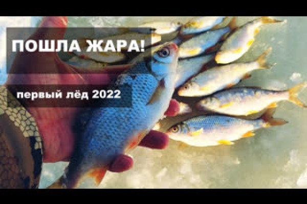 Сайт кракен тор